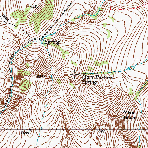 Topographic Map of Mare Pasture Spring, NV