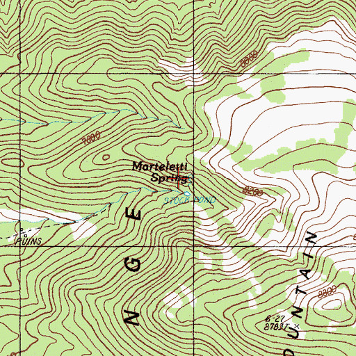 Topographic Map of Marteletti Spring, NV