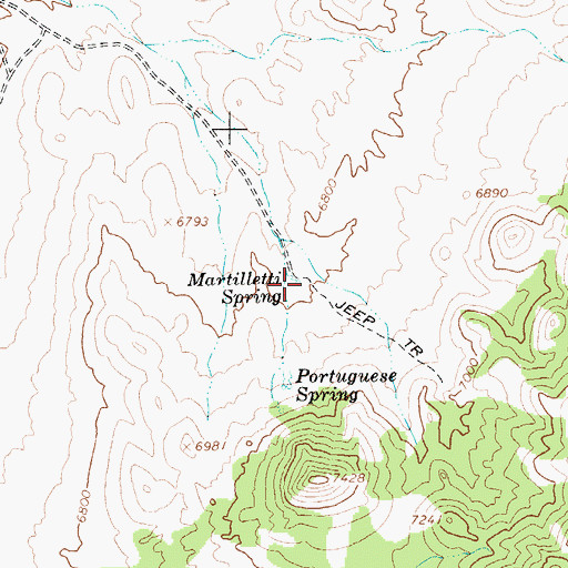 Topographic Map of Martilletti Spring, NV