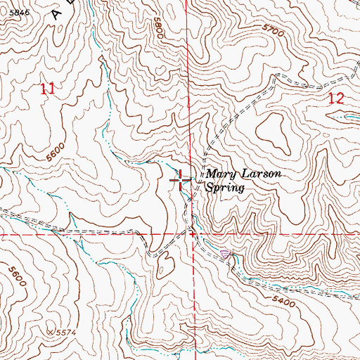 Topographic Map of Mary Larson Spring, NV