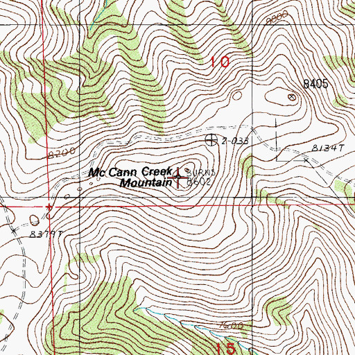Topographic Map of McCann Creek Mountain, NV