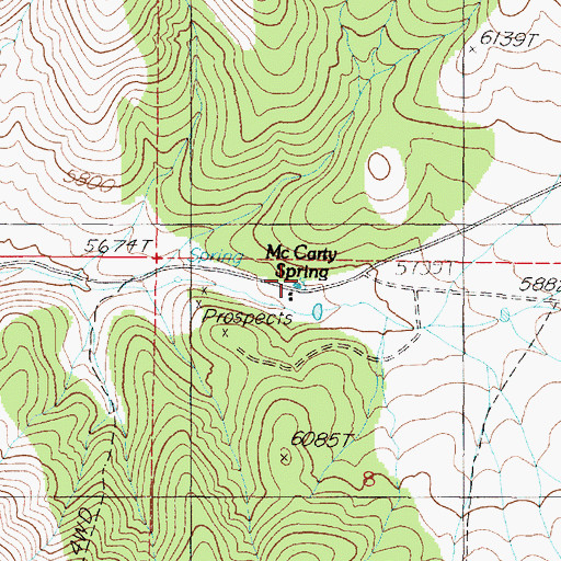 Topographic Map of McCarty Spring, NV