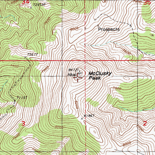 Topographic Map of McClusky Peak, NV