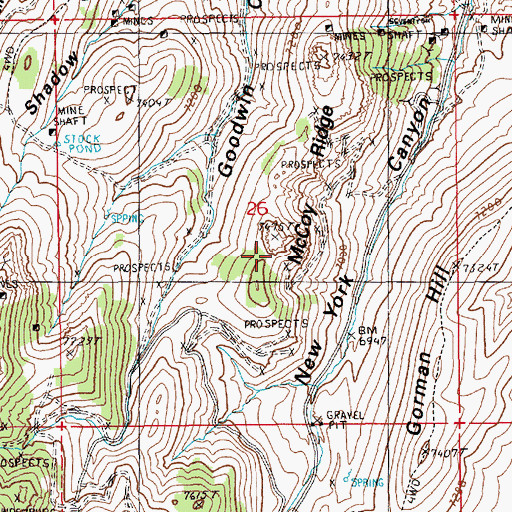 Topographic Map of McCoy Ridge, NV