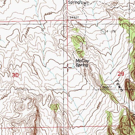 Topographic Map of McCoy Spring, NV