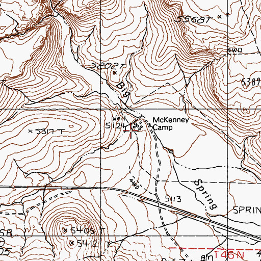 Topographic Map of McKenney Camp, NV