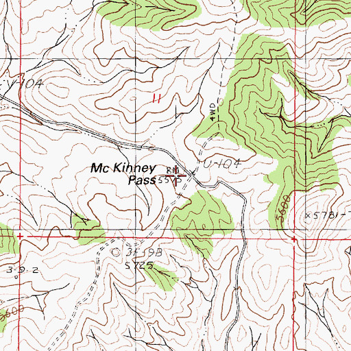 Topographic Map of McKinney Pass, NV