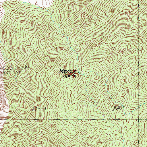 Topographic Map of Mexican Spring, NV