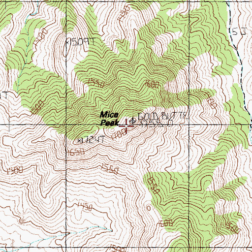 Topographic Map of Mica Peak, NV
