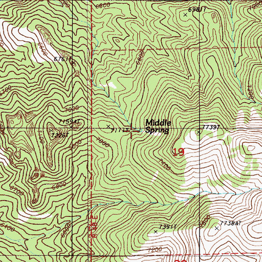 Topographic Map of Middle Spring, NV