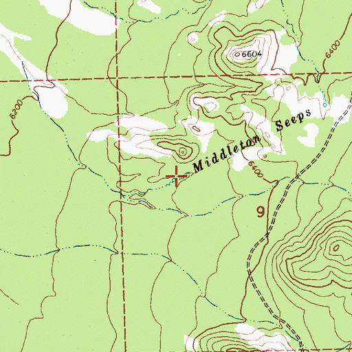 Topographic Map of Middleton Seeps, NV