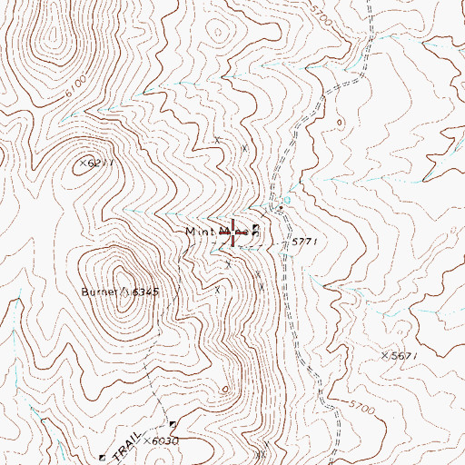 Topographic Map of Mint Mine, NV