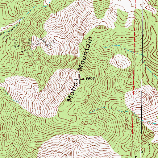 Topographic Map of Moho Mountain, NV