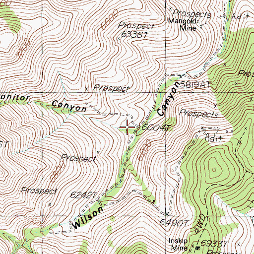 Topographic Map of Monitor Canyon, NV
