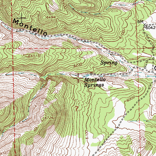 Topographic Map of Montello Springs, NV