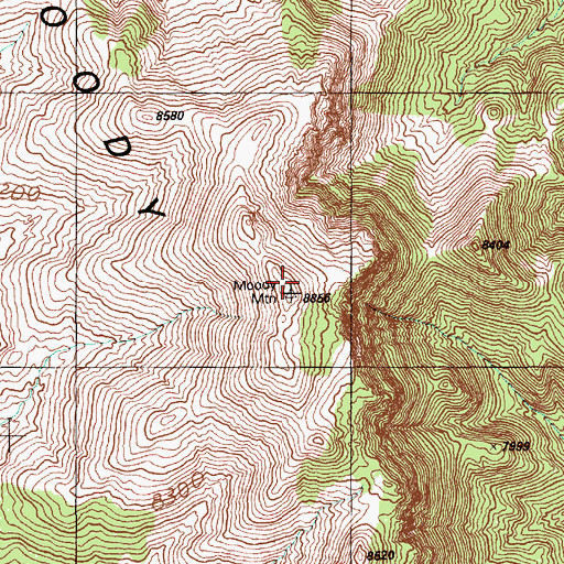 Topographic Map of Moody Mountain, NV