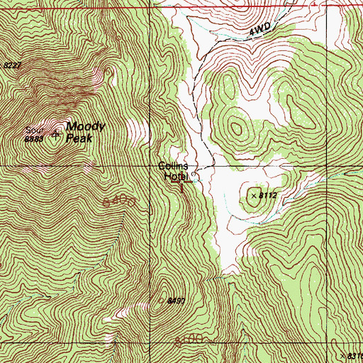 Topographic Map of Collins Spring, NV