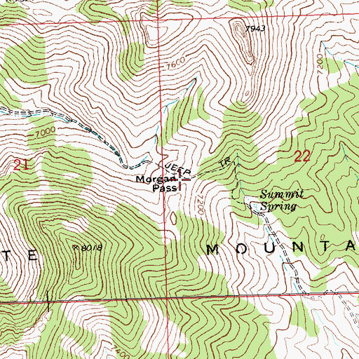Topographic Map of Morgan Pass, NV