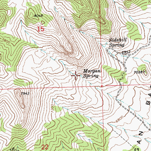 Topographic Map of Morgan Spring, NV