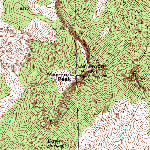 Topographic Map of Mormon Peak, NV