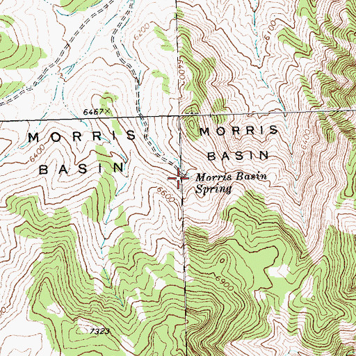 Topographic Map of Morris Basin Spring, NV