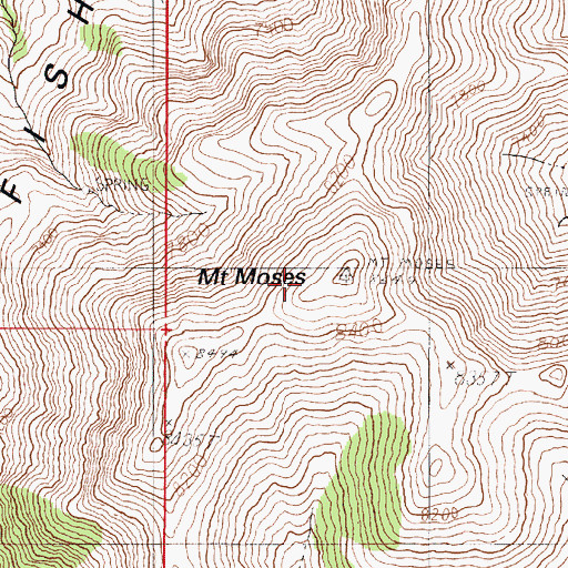 Topographic Map of Mount Moses, NV