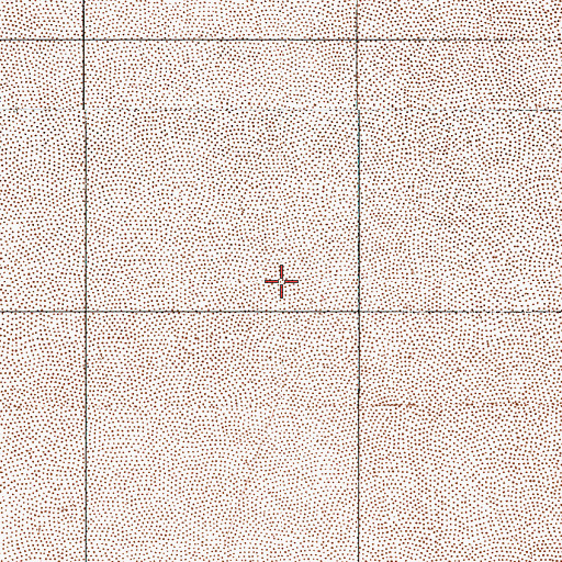 Topographic Map of Mud Lake, NV