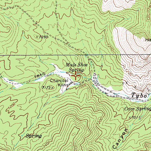 Topographic Map of Mule Shoe Spring, NV