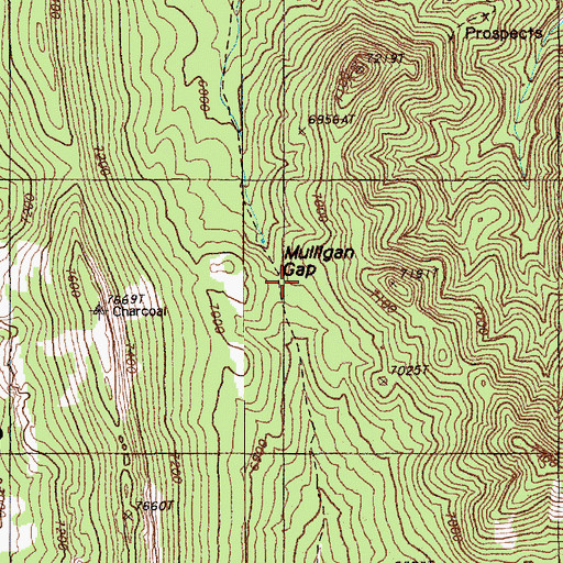 Topographic Map of Mulligan Gap, NV