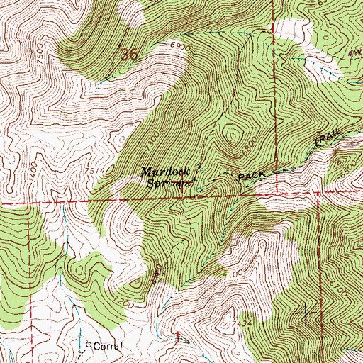 Topographic Map of Murdock Springs, NV