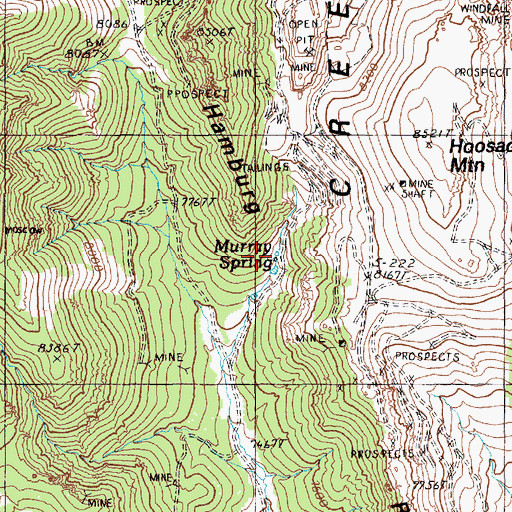 Topographic Map of Murray Spring, NV
