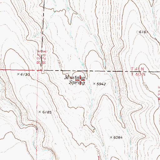 Topographic Map of Mustang Spring, NV