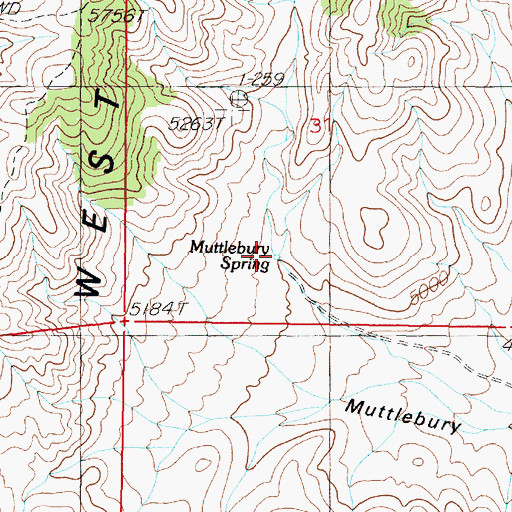 Topographic Map of Muttlebury Spring, NV