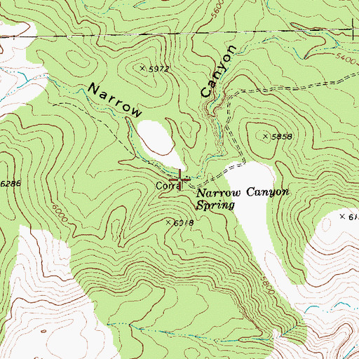 Topographic Map of Narrow Canyon Spring, NV