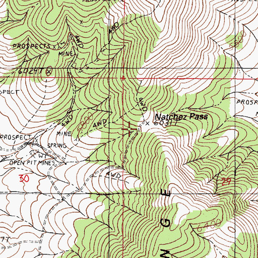 Topographic Map of Natchez Pass, NV