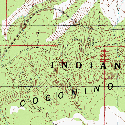 Topographic Map of Mule Shoe Bend, AZ