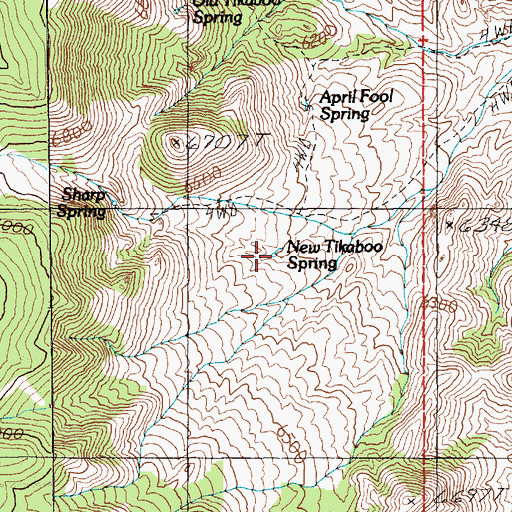 Topographic Map of New Tikaboo Spring, NV