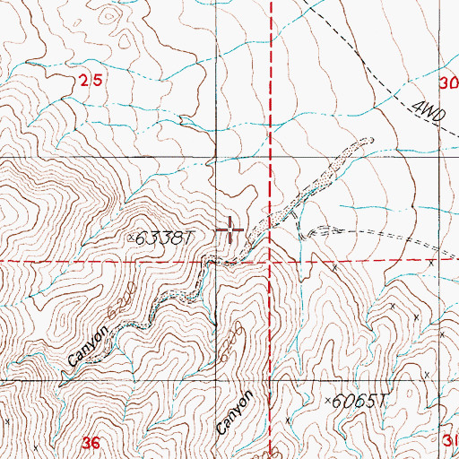 Topographic Map of New York Canyon, NV