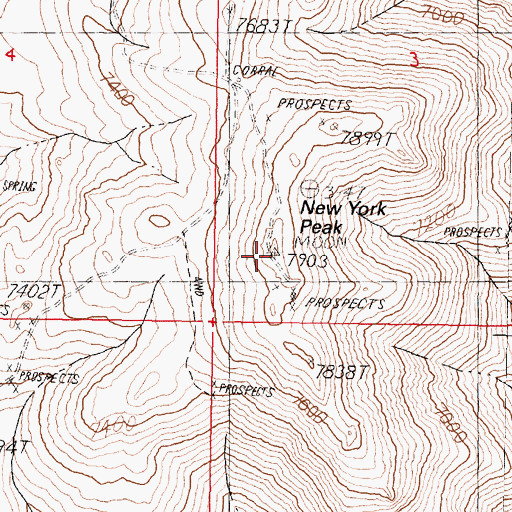 Topographic Map of New York Peak, NV