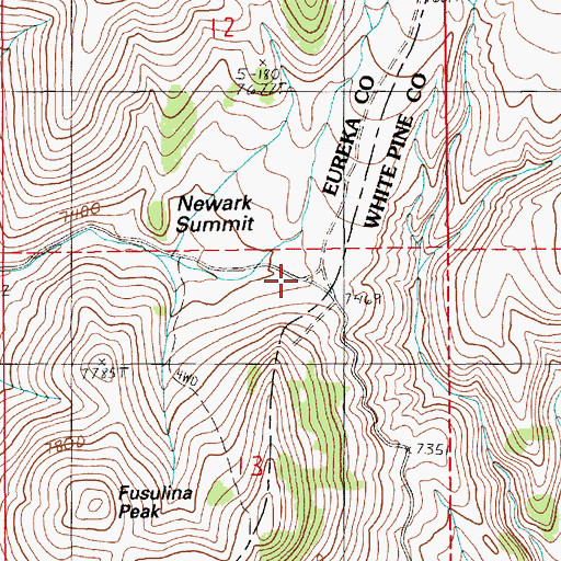 Topographic Map of Newark Summit, NV