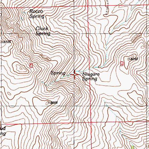 Topographic Map of Niagara Spring, NV