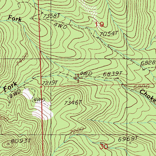 Topographic Map of North Fork Chokecherry Creek, NV