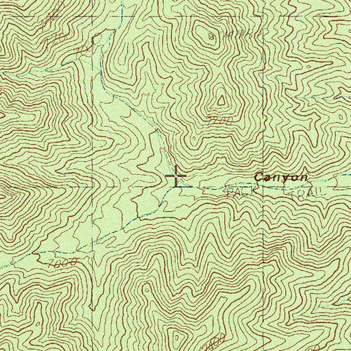 Topographic Map of North Fork Sawmill Canyon, NV