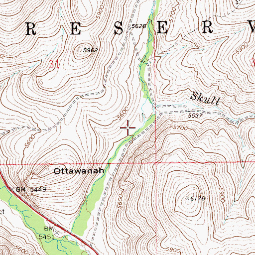 Topographic Map of North Fork Skull Creek, NV