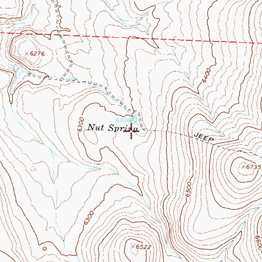 Topographic Map of Nut Spring, NV