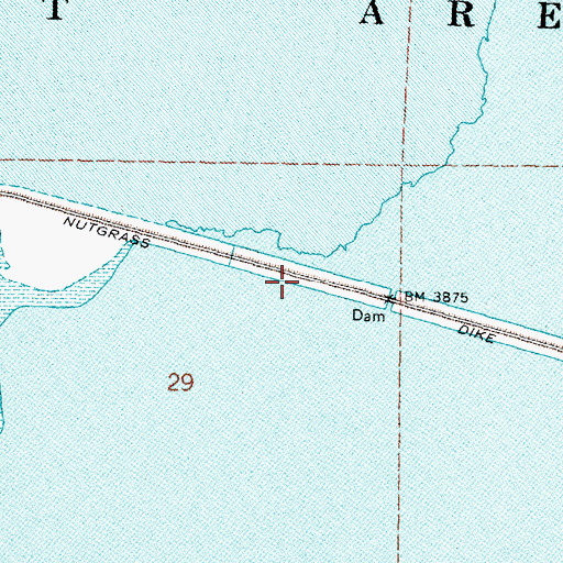 Topographic Map of Nutgrass Dike, NV