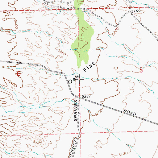 Topographic Map of Oak Flat, NV