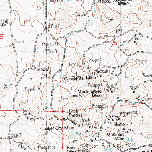 Topographic Map of Occidental Mine, NV
