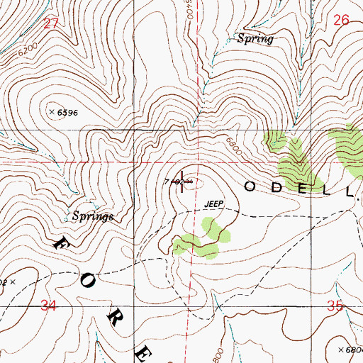 Topographic Map of Odell Mountain, NV
