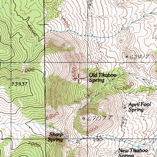 Topographic Map of Old Tikaboo Spring, NV